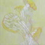 emergence2_2 Emergence-部分